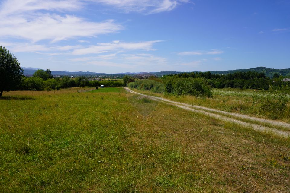 Land 1,343sqm Sighetu Marmatiei / Strada Doboies