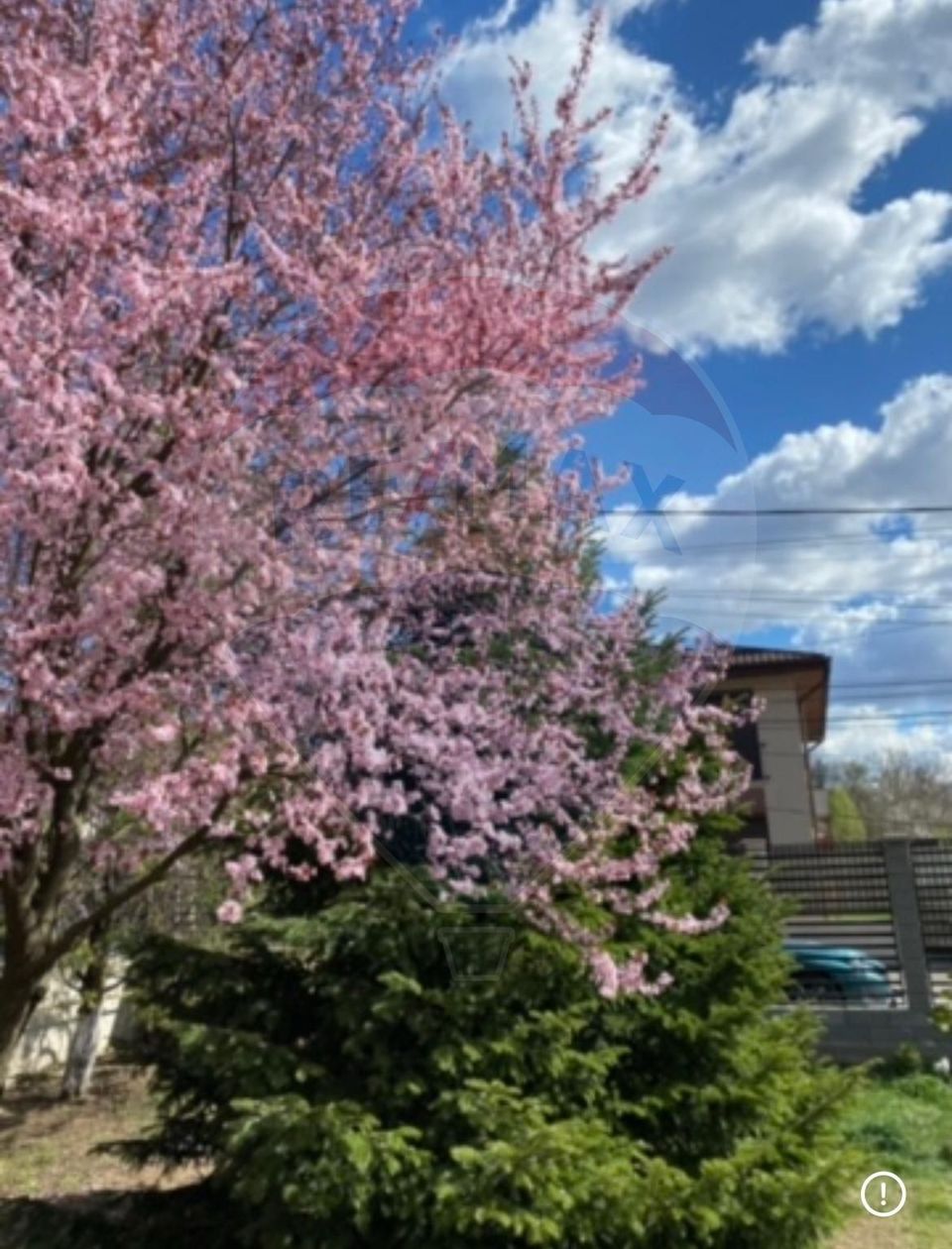 Villa for sale at the entrance to Mogosoaia, between two forests, lake