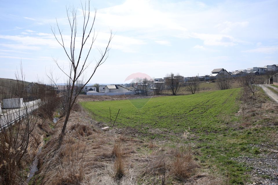 Teren 3,500mp Moara / Strada Pprincipala