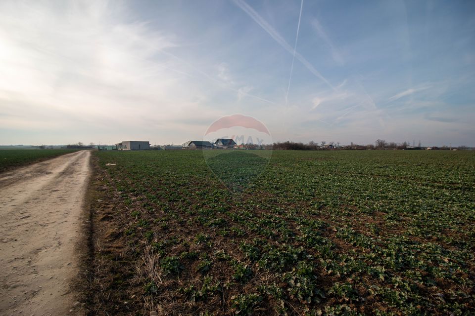 Teren Intravilan de vanzare 21000 mp Balotesti Soseaua Unirii