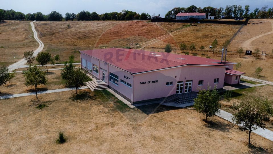 Camp & Conference Complex for sale in Arges