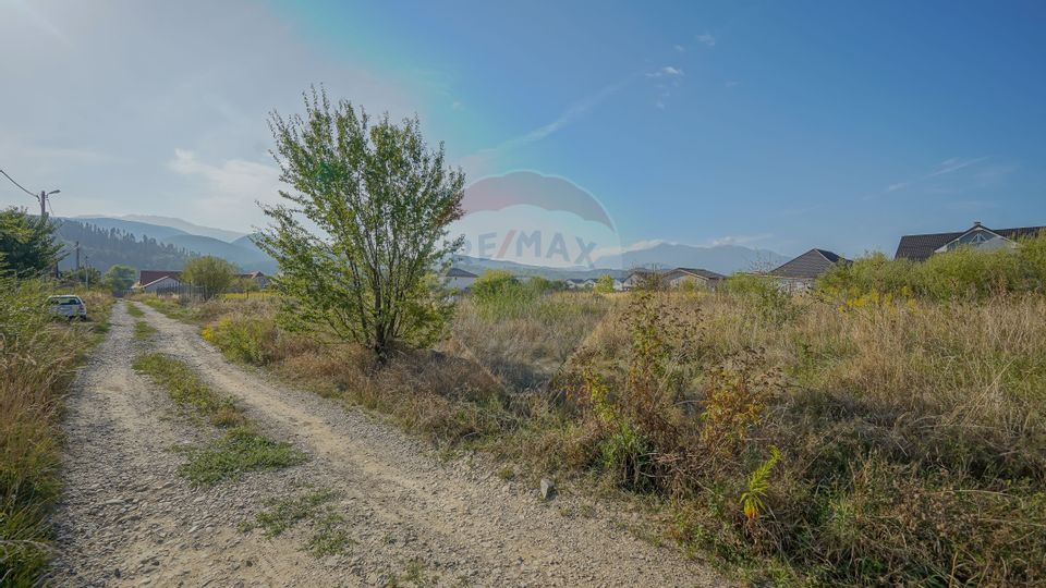 Land 1,000sqm Cristian / Strada Nisipului