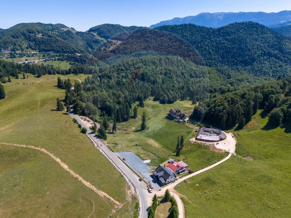 Teren 56599mp Dambovicioara / Soseaua DN 73Dealul sasului!