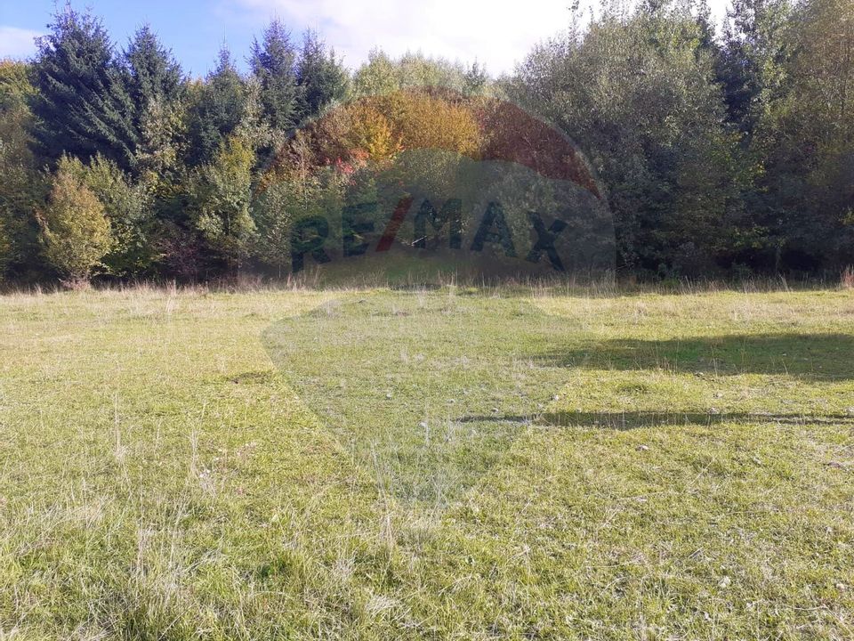 Comision Teren Rasnov - Strada Poiana velicanului, 5167mp