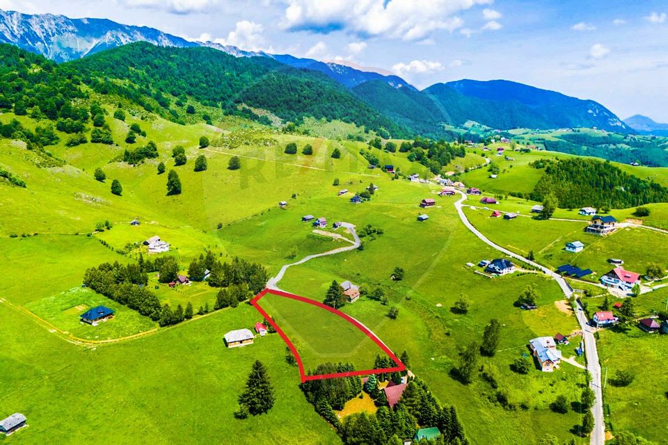 Land 5,731sqm Sirnea / Strada Principala