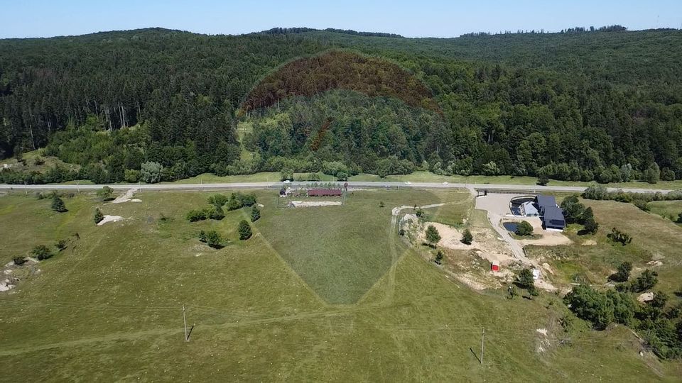 Land 5,561sqm Paltinoasa / Strada principala