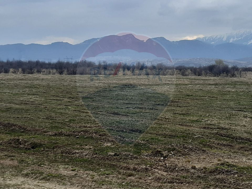 Teren 10,000mp Rasnov / Drumul Panicel