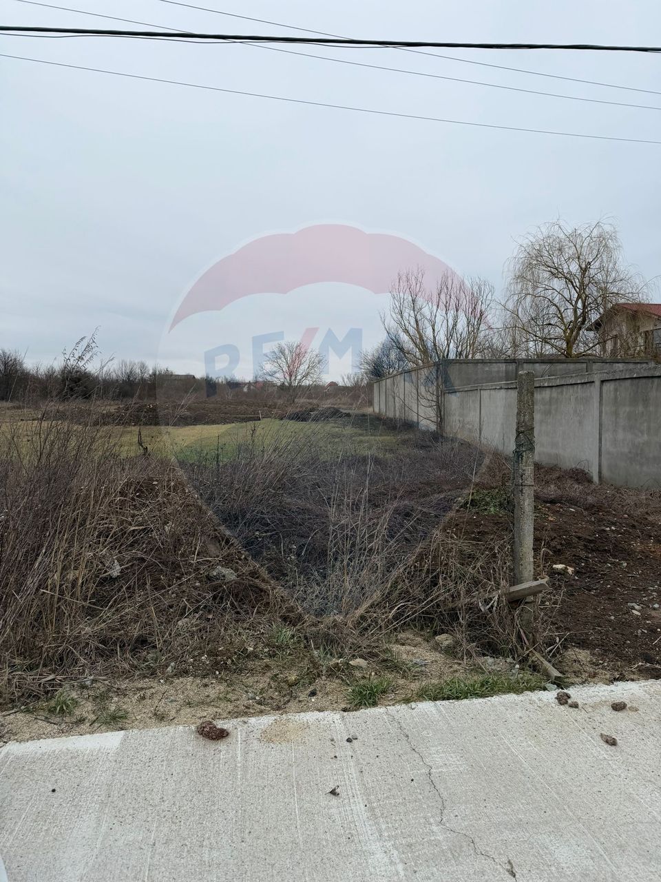 Teren 500mp Vladiceasca / None