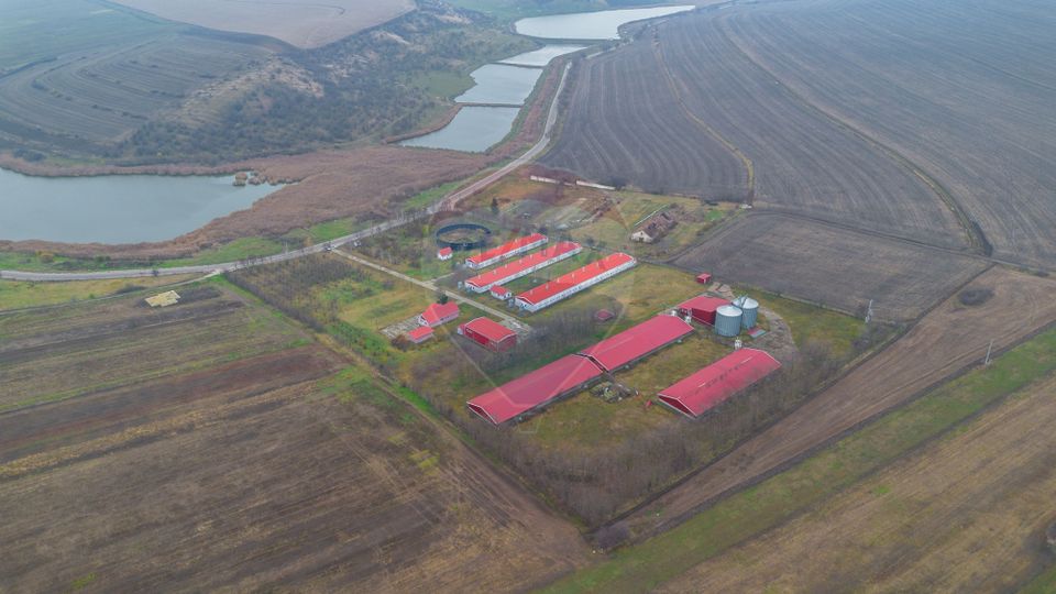 Land 43,708sqm Scobalteni / Strada DJ28D