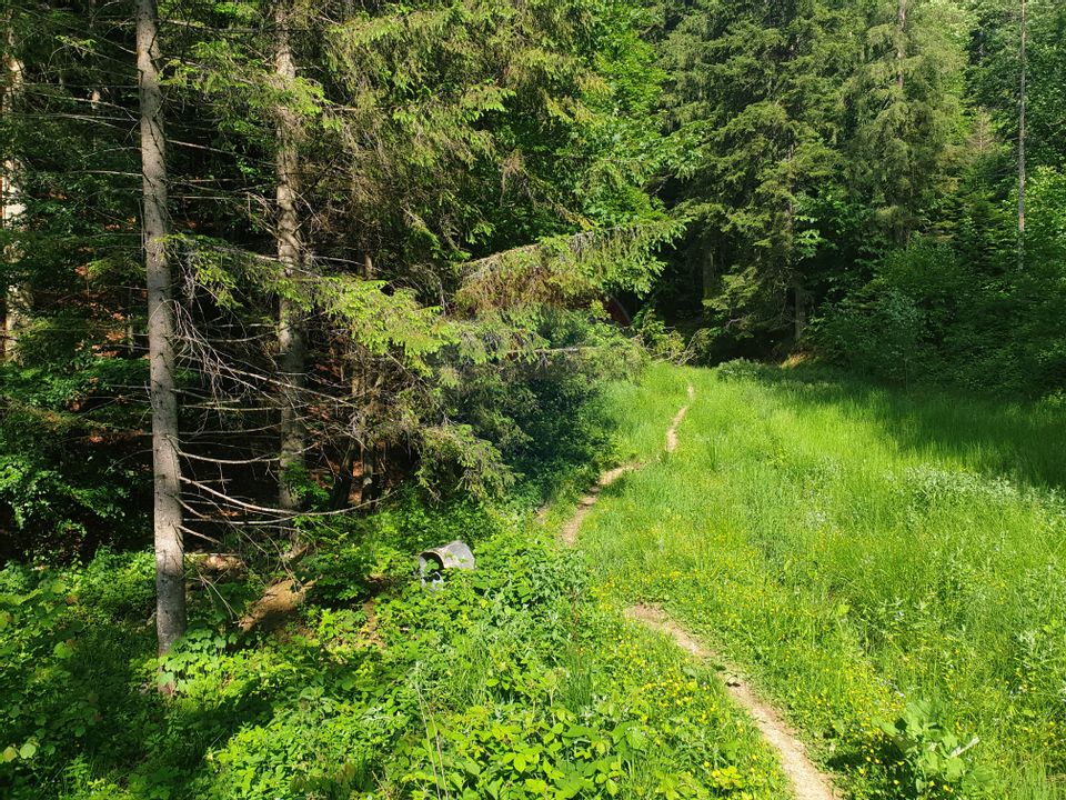 Teren intravilan, 56000 mp, Poiana Braşov