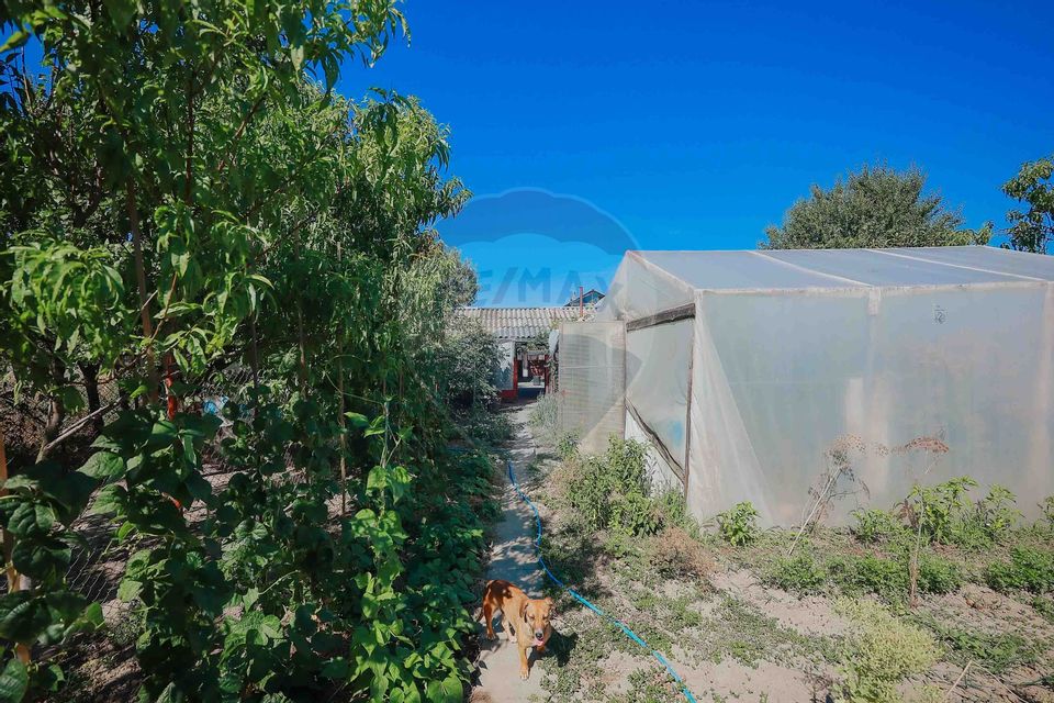 Casă și teren de 1397 mp de vânzare în Ineu, la 18 km de Oradea