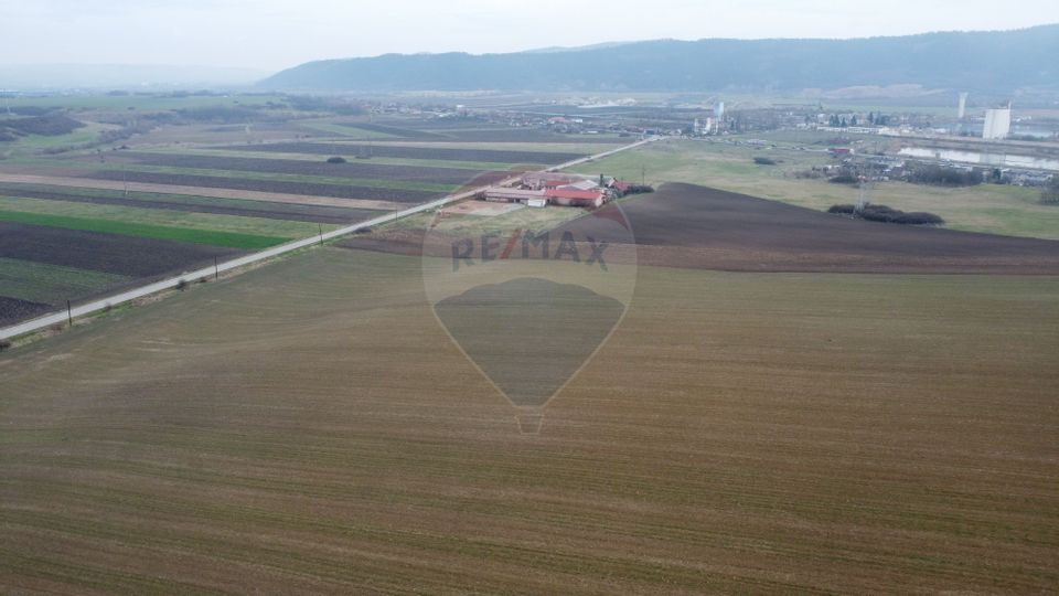 Land 9,800sqm Luna de Jos / Strada Principala