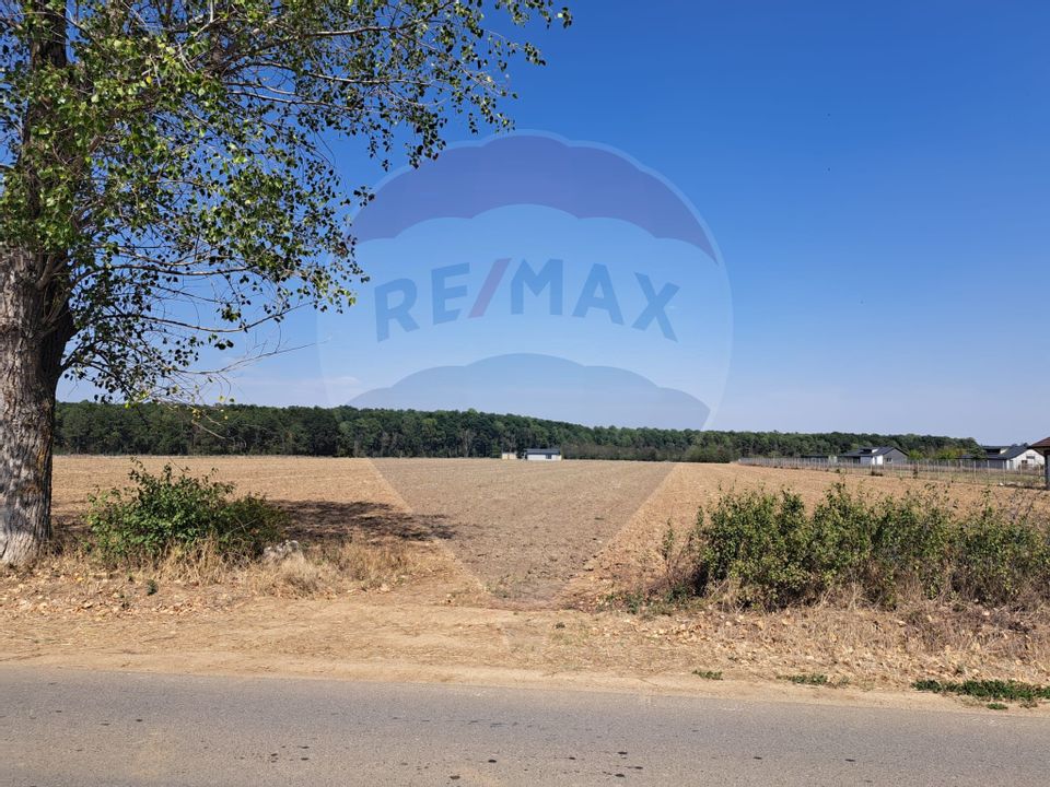 Land 4,500sqm Izvorani / Strada Complexul Olimpic