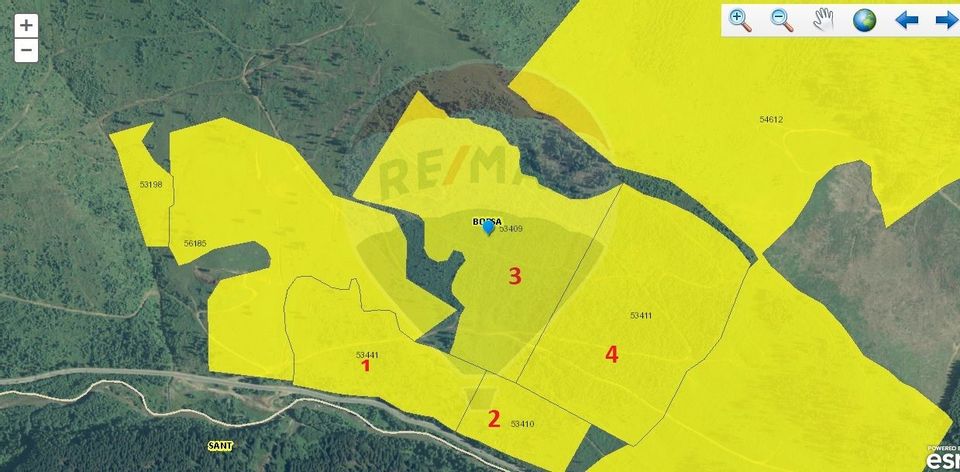 Teren Extravilan-Pădure de 27 hectare de vânzare în Borșa