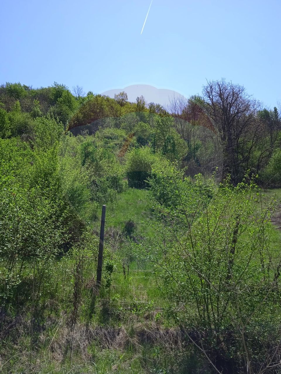 Land 800sqm Medias / Strada Baznei