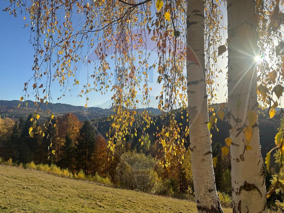 Investment opportunity ! Dream land in Pestera - 125,370 sqm