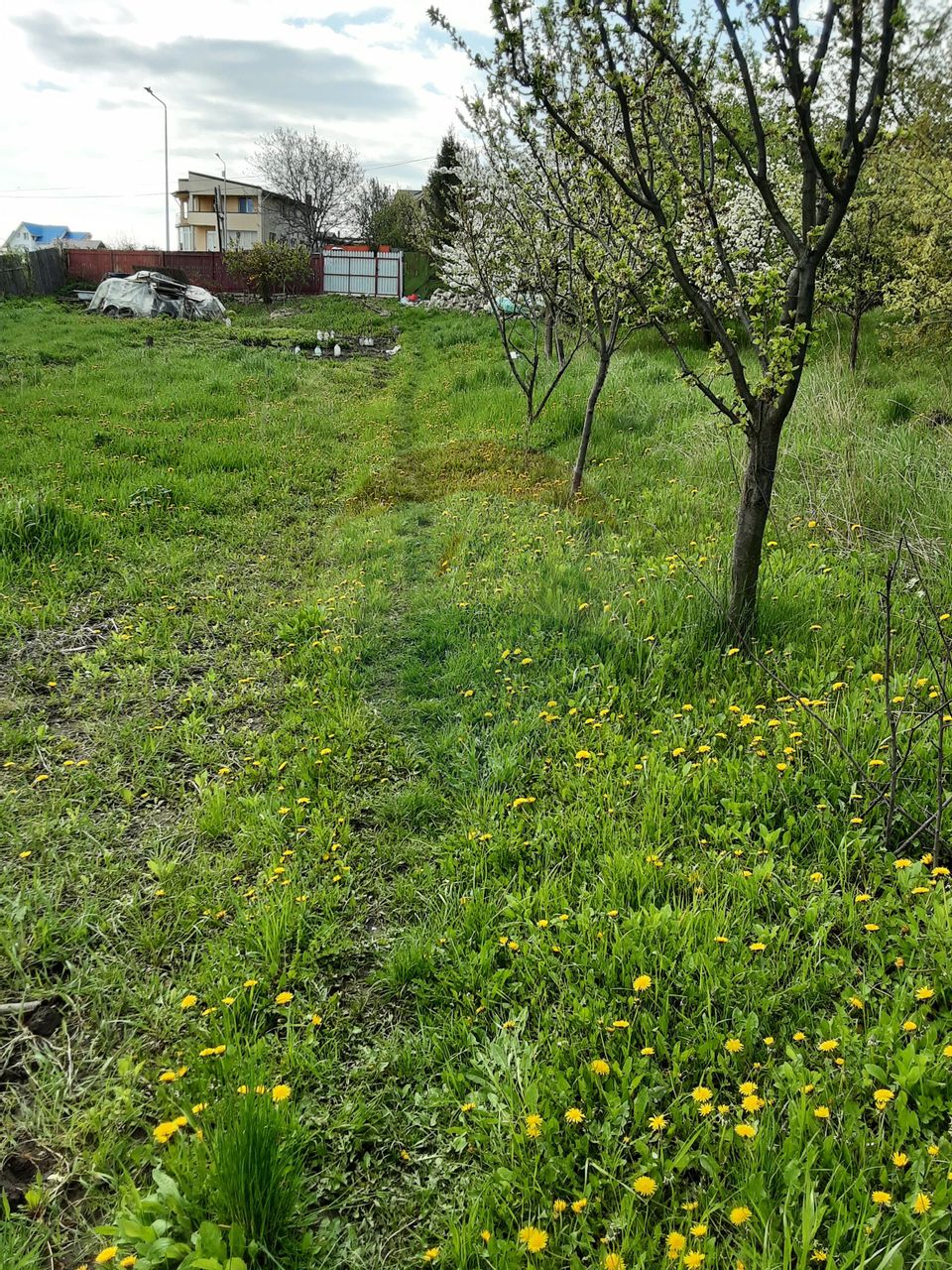 Teren 1,500mp Piatra-Neamt / Aleea Valea alba