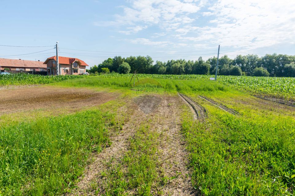 Teren constructii 2900mp  Lunca Calnicului-Str Gradinilor