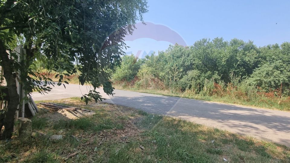 Land 1,300sqm Balotesti / Strada Tarina Veche