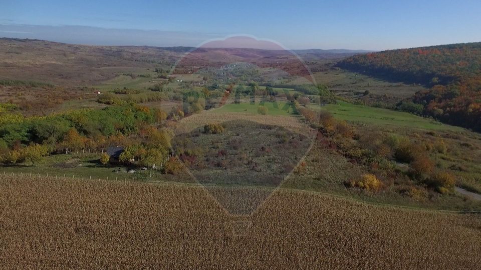 Land 2,556sqm Padureni (Chinteni) / Drumul DC147