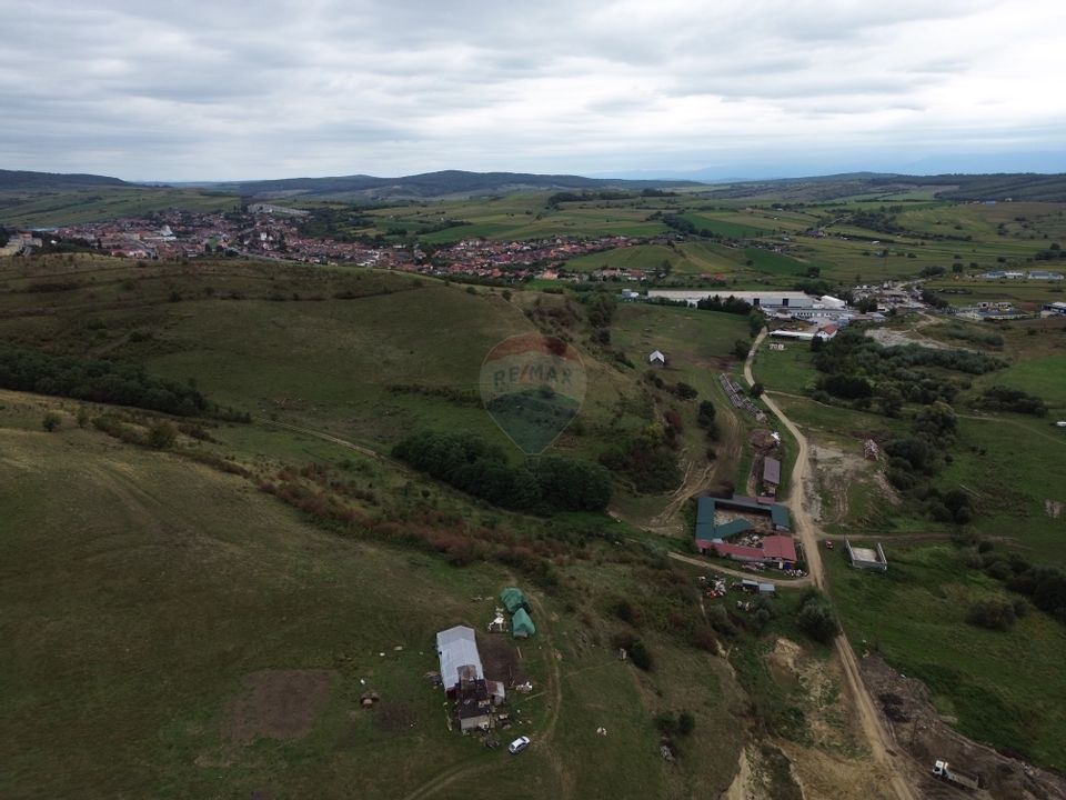 Teren de vanzare, 65 hectare - Agnita