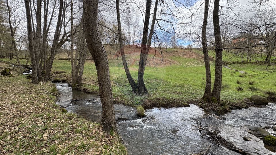 Teren de vanzare ideal pentru CABANA-cu un pârau ce traveseazǎ terenul