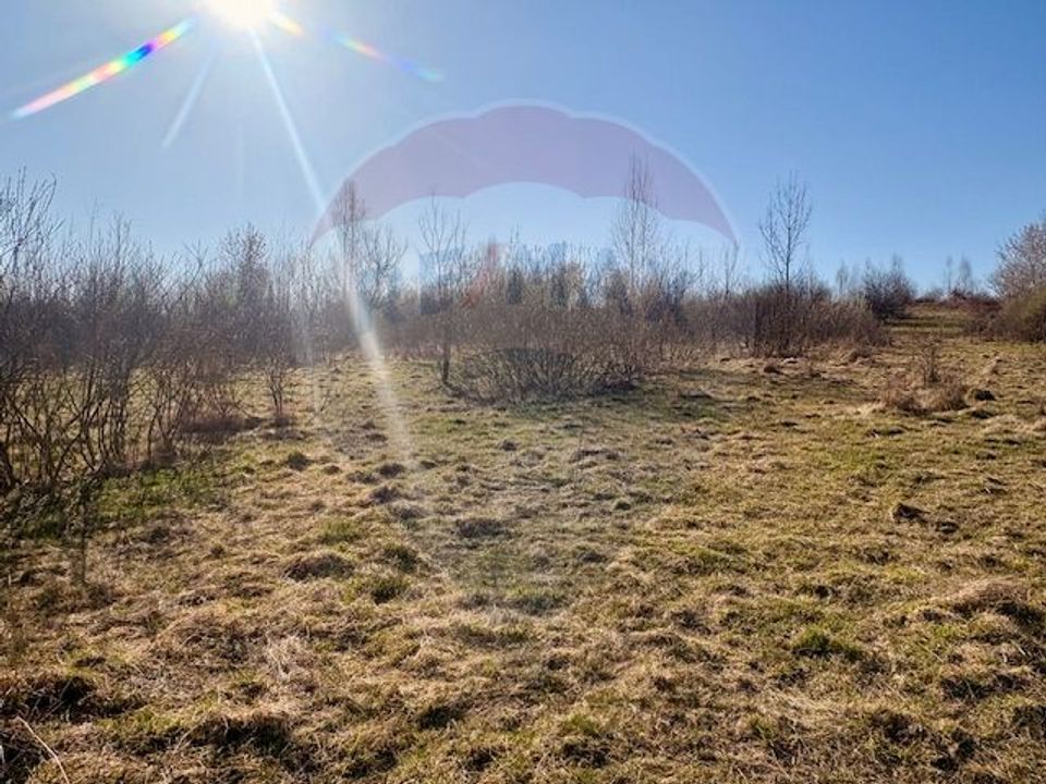 Casă traditionala+TEREN 6.000 mp