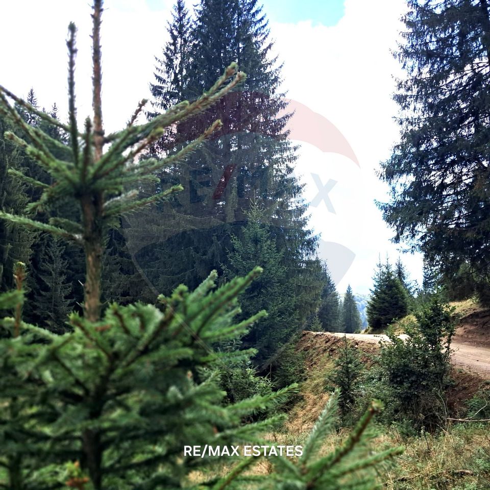 Teren Poiana Brasov / Strada Valea Sticlariei 500 mp