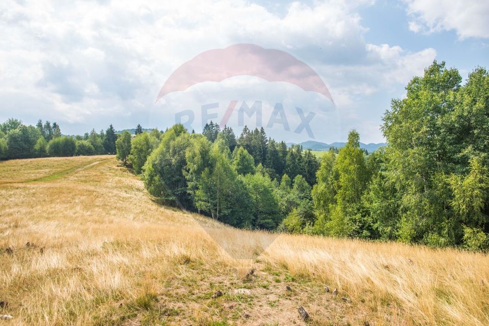 Teren extravilan Moieciu 45316mp