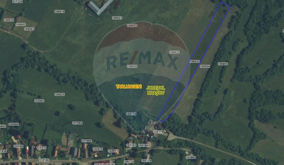 Teren 5.800 mp Purcareni curent, gaz, apă / Strada 30 decembrie