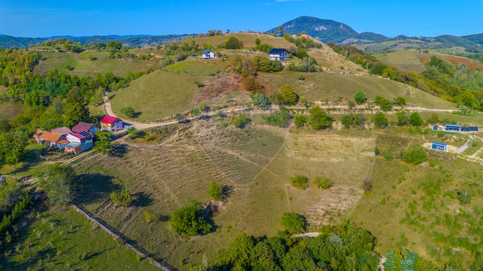 Teren extravilan 6,014mp | Holbav | BRASOV | COMISION 0|