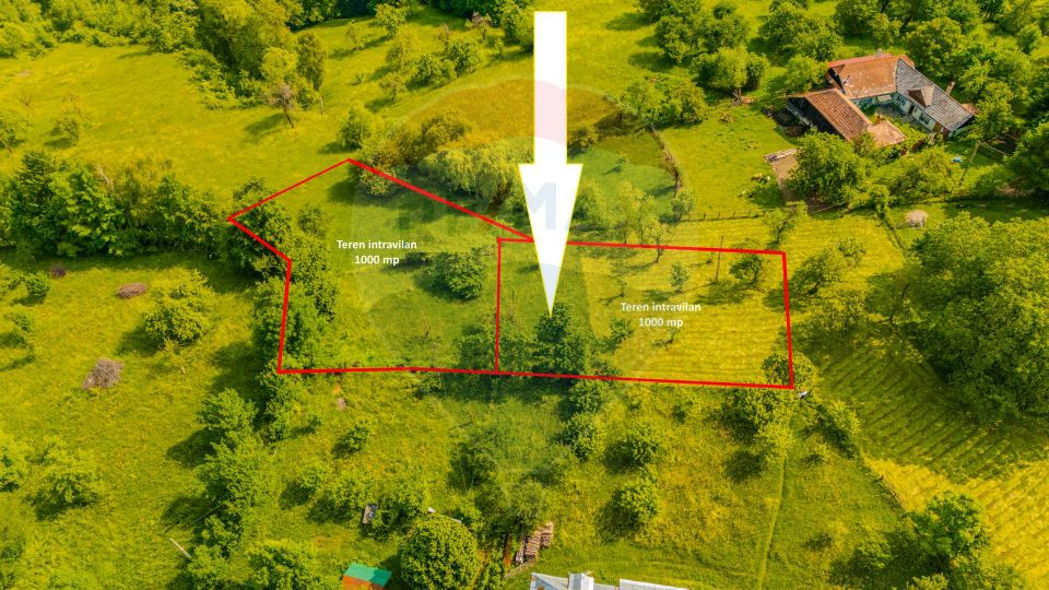 COMISION 0% | Teren 1,000mp Bran | Strada Clincea |