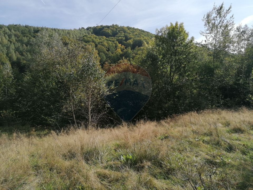 Teren 6,000mp Valea Draganului / Strada Principala