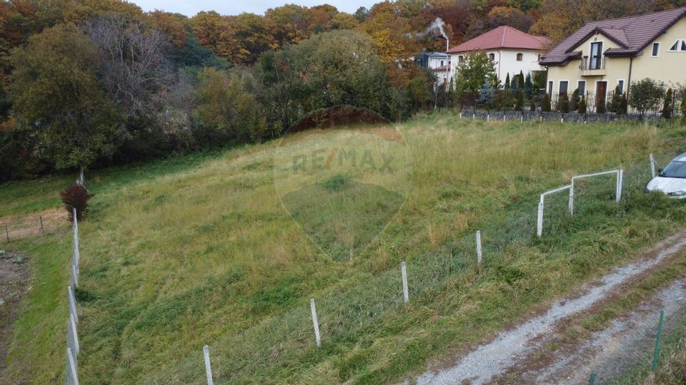 Teren de vanzare în Faget 1542 mp cu panorama