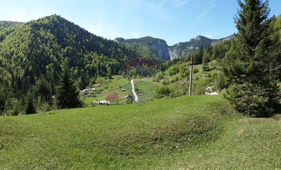 Land 8,619sqm Bicaz-Chei / Strada Sugaului