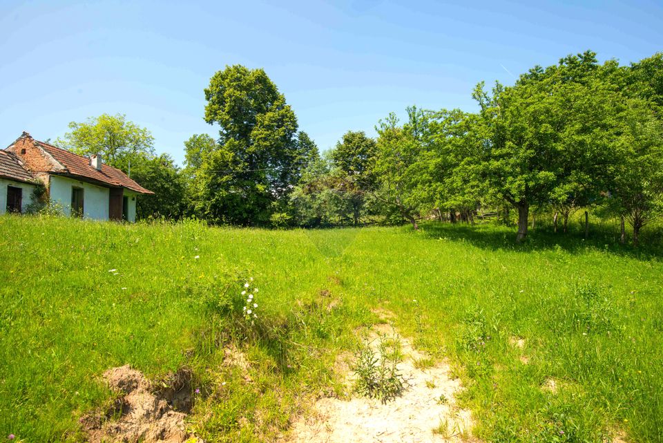 Land with utilities, 5,495sqm Bran - panoramic view, near Bran Castle