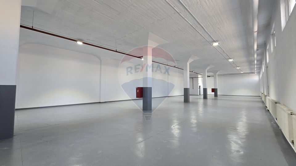 450sq.m Industrial Space for rent, Timisoara area