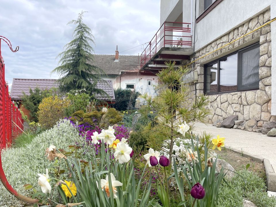 Apartament cu 2 camere de închiriat în zona Drumul Poienii