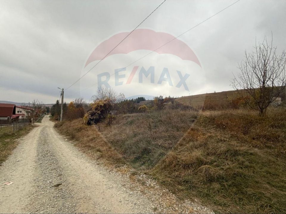Teren intravilan de vânzare 2.307 mp – Sălicea, comuna Ciurila
