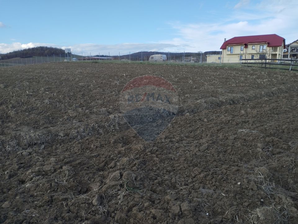 Teren Bodesti / Strada OSLOBENI LANGA MANASTIREA DUMBRAVELE