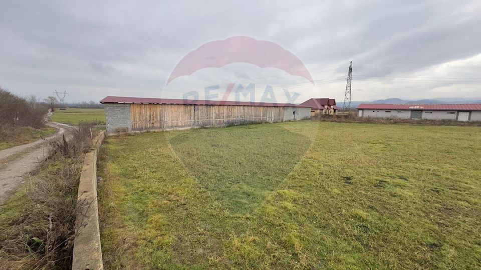 Land 3,700sqm Culcea / Drumul Padurii