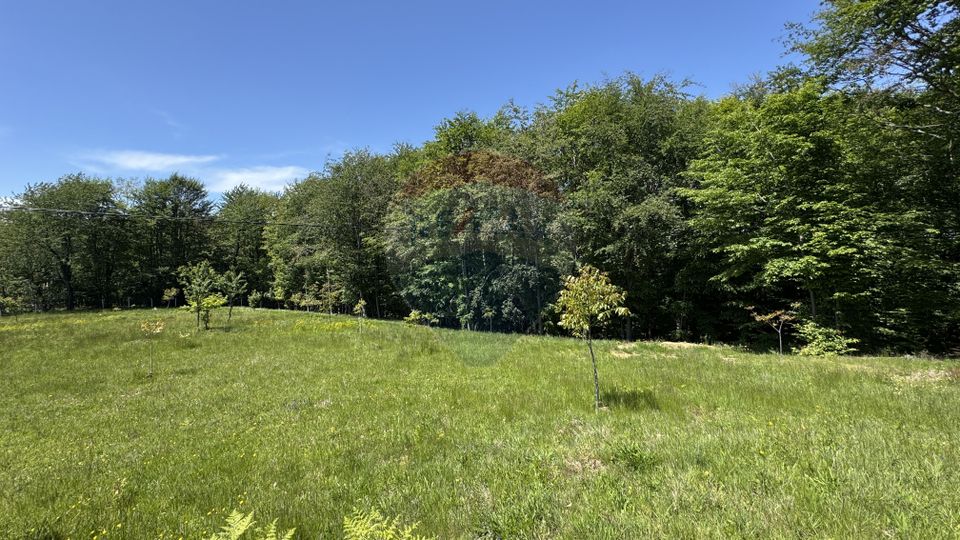 Teren de vanzare SE ACCEPTA SCHIMB CU PROPRIETATI