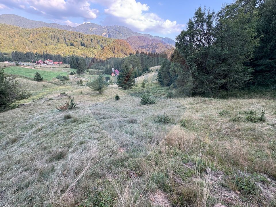 TEREN EXCLUSIV PENTRU INVESTIȚIE ÎN ZONĂ DE AGREMENT – BRAȘOV, DN 1E