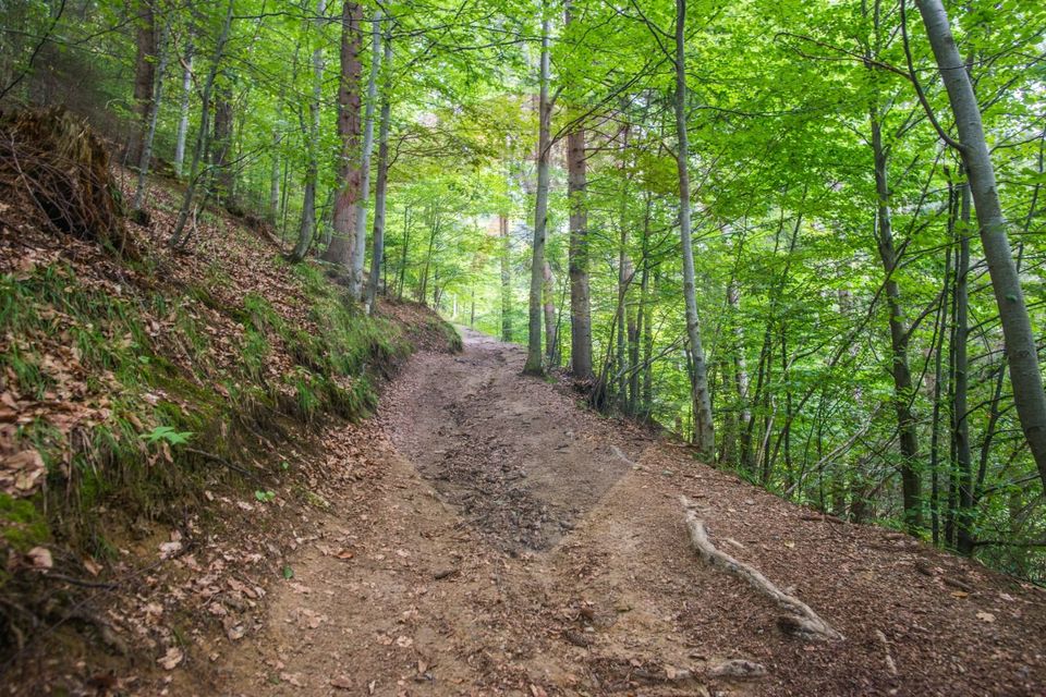 Teren extravilan Moieciu 45316mp