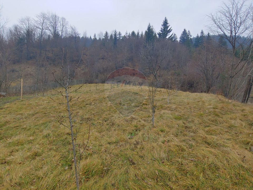 Casă / Vilă in Bucovina-Vama-Prisaca Dornei-Suceava