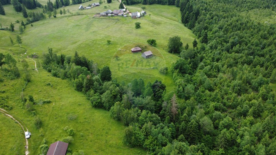 Land 8,119sqm Calatele / Strada Calatele Padure