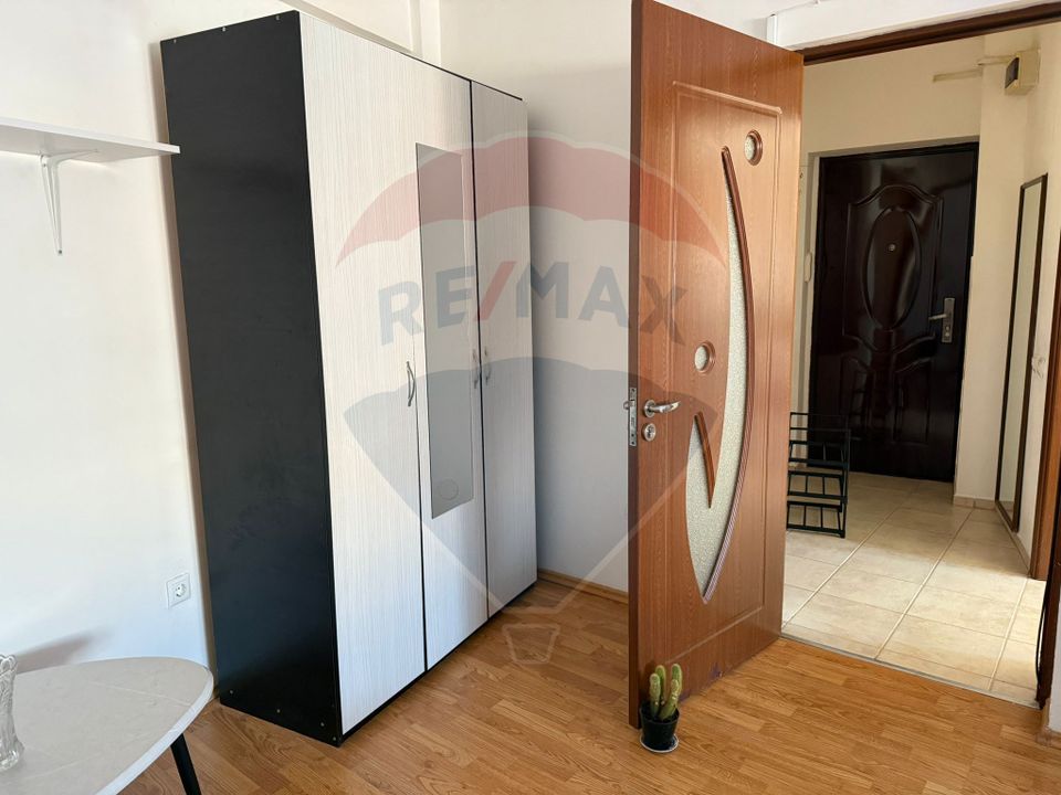 1 room Apartment for rent, Brazda lui Novac area