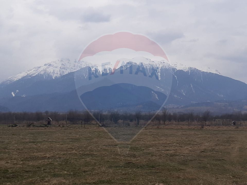 Teren 10,000mp Rasnov / Drumul Panicel