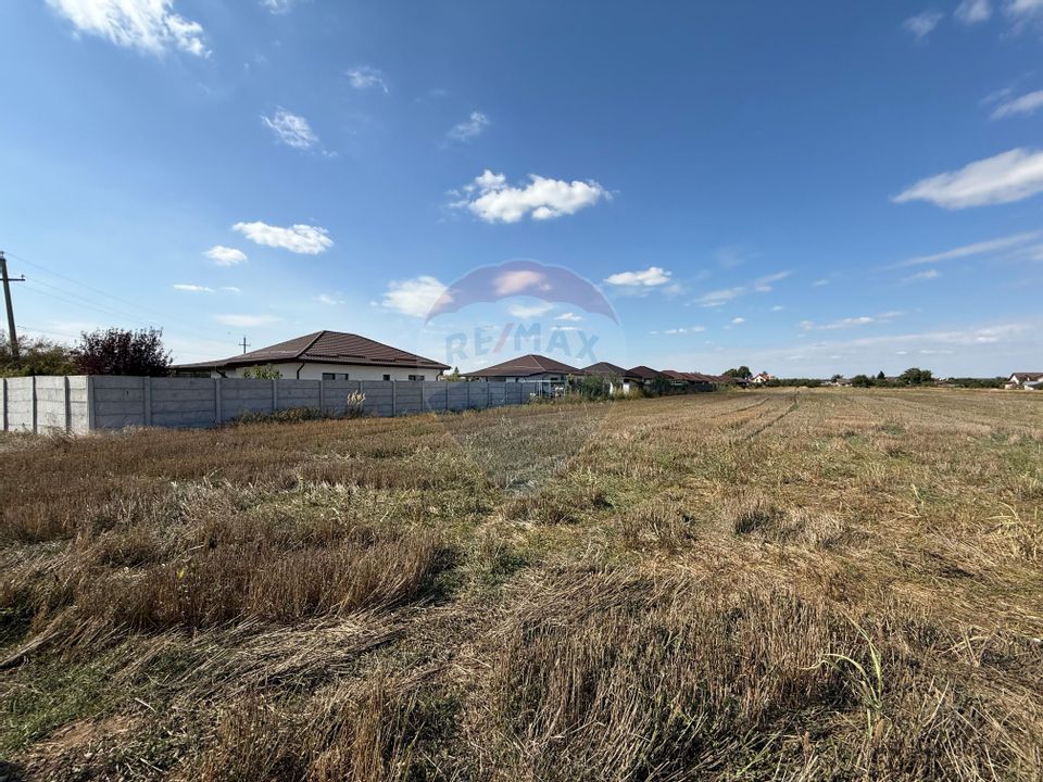 Land 5,000sqm Sabareni / Strada Trandafirilor