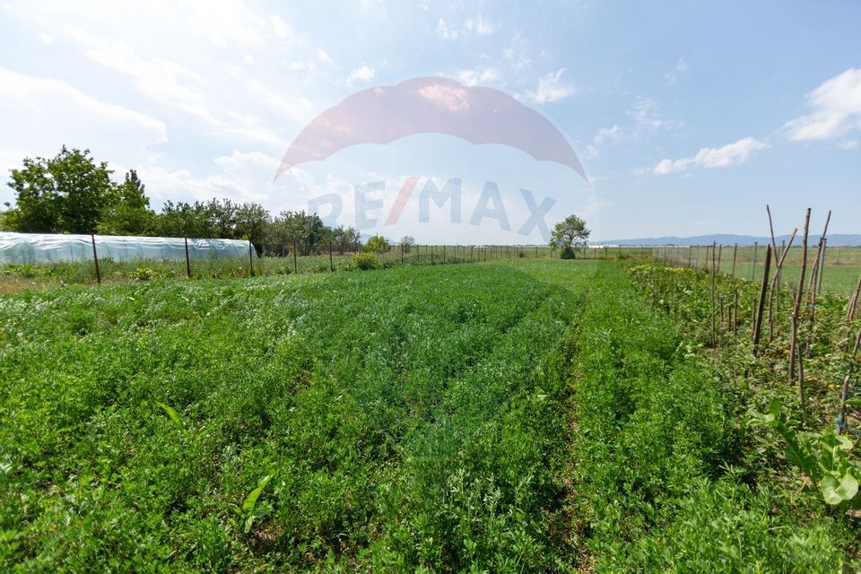 Casă săsească autentică cu livadă și teren generos 2979 mp – Bod